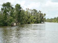 Pécheurs sur le canal des  Pangalanes